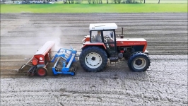 Sowing of lupin and phacelia / Zetor 11245 + Mandam AS + Famarol / Macks 350